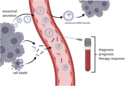Circulating Non-coding RNAs in Renal Cell Carcinoma—Pathogenesis and Potential Implications as Clinical Biomarkers